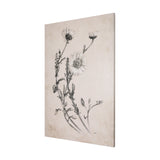 Chamomile Drawing I by Mercana Studio a Hand Embellished Textured Canvas from Mercana - Luna Furniture