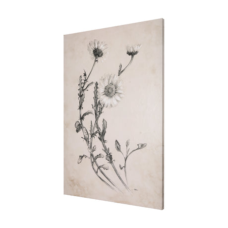 Chamomile Drawing I by Mercana Studio a Hand Embellished Textured Canvas from Mercana - Luna Furniture