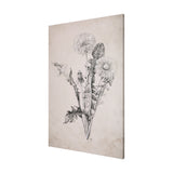 Dandelion Drawing II by Mercana Studio a Hand Embellished Textured Canvas from Mercana - Luna Furniture