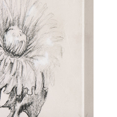 Dandelion Drawing II by Mercana Studio a Hand Embellished Textured Canvas from Mercana - Luna Furniture