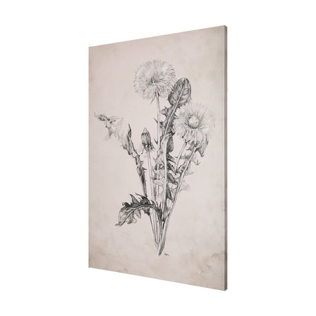 Dandelion Drawing II by Mercana Studio a Hand Embellished Textured Canvas from Mercana - Luna Furniture