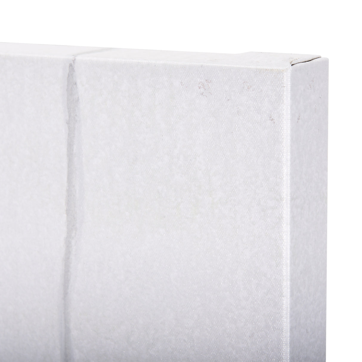 A Winter Day in Forest II by Mercana Studio a Hand Embellished Textured Canvas from Mercana - Luna Furniture