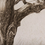 Secret Life of Tree by Mercana Studio a Hand Embellished Textured Canvas from Mercana - Luna Furniture