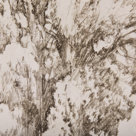 Westcoast Tree Drawing I by Mercana Studio a Hand Embellished Textured Canvas from Mercana - Luna Furniture