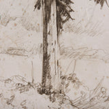 Westcoast Tree Drawing II by Mercana Studio a Hand Embellished Textured Canvas from Mercana - Luna Furniture