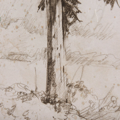 Westcoast Tree Drawing II by Mercana Studio a Hand Embellished Textured Canvas from Mercana - Luna Furniture
