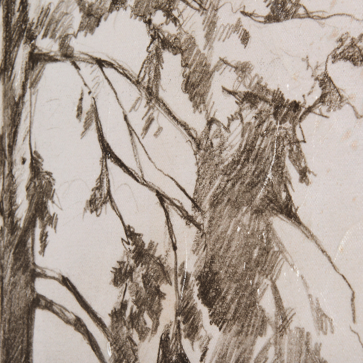 Westcoast Tree Drawing II by Mercana Studio a Hand Embellished Textured Canvas from Mercana - Luna Furniture