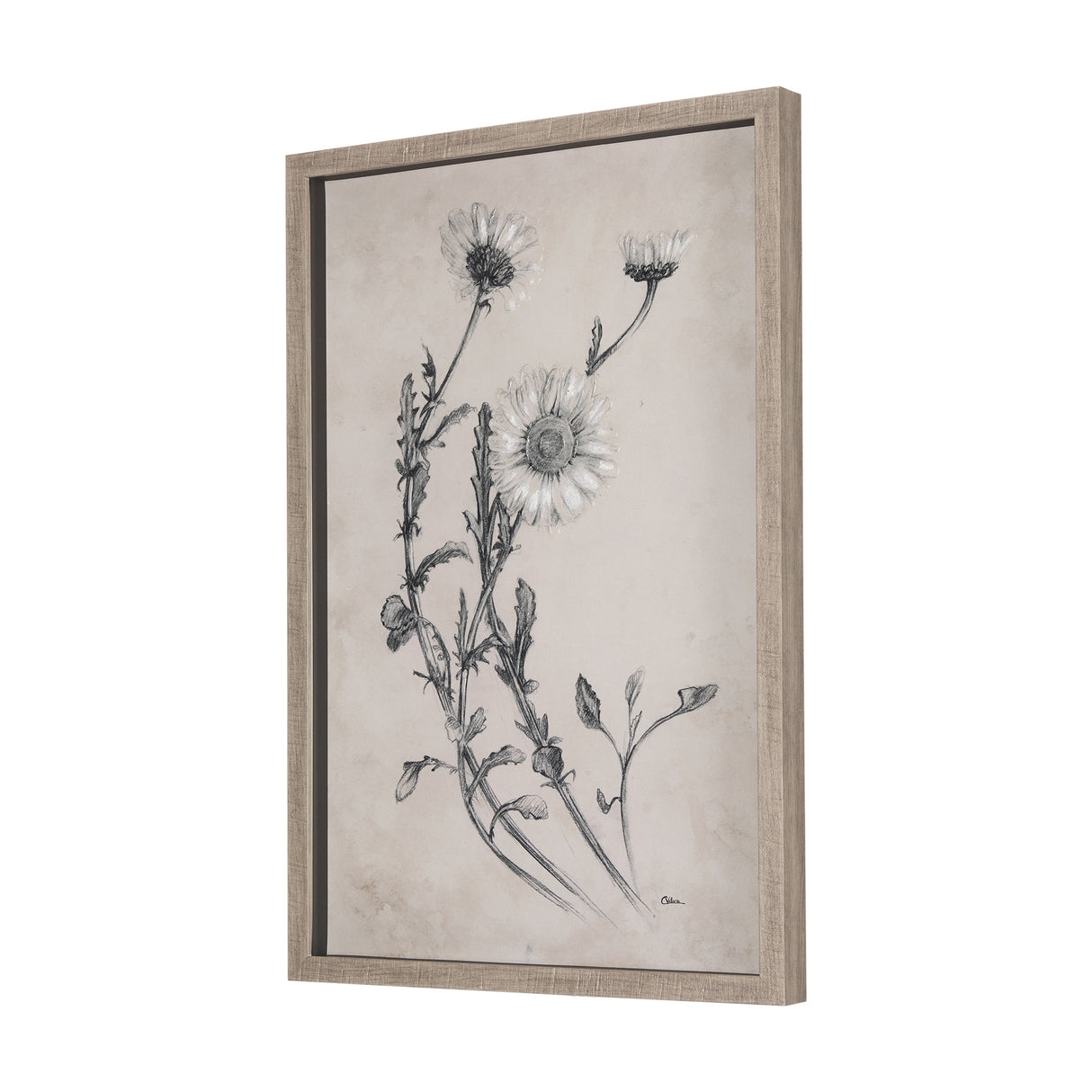 Chamomile Drawing I by Mercana Studio Hand Embellished Textured Framed Art Print Matted under Glass from Mercana - Luna Furniture