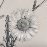 Chamomile Drawing I by Mercana Studio Hand Embellished Textured Framed Art Print Matted under Glass from Mercana - Luna Furniture