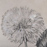 Dandelion Drawing II by Mercana Studio Hand Embellished Textured Framed Art Print Matted under Glass from Mercana - Luna Furniture