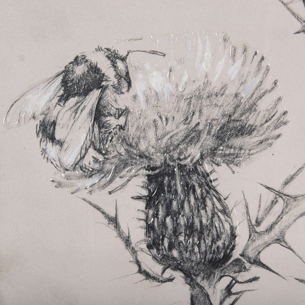 Thistle With Bumblebee Drawing IV Mercana Studio Hand Embellished Framed Art Print Matted under Glas from Mercana - Luna Furniture