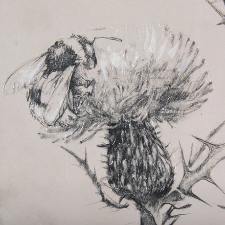 Thistle With Bumblebee Drawing IV Mercana Studio Hand Embellished Framed Art Print Matted under Glas from Mercana - Luna Furniture