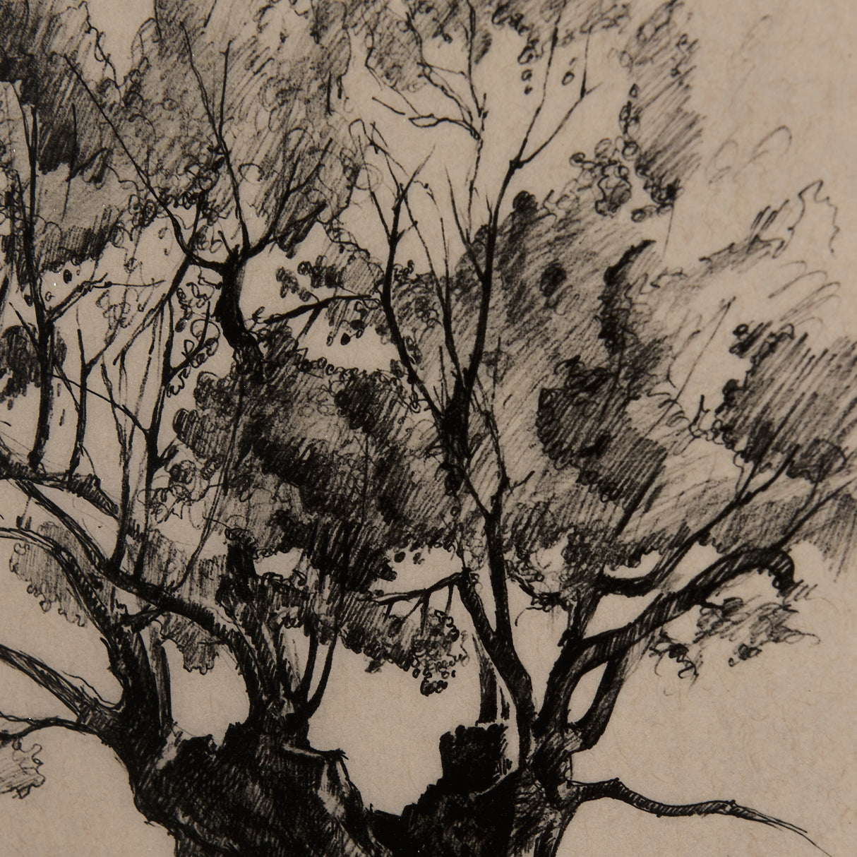 Tree Drawing I by Mercana Studio a Hand Embellished Textured Framed Art Print Matted under Glass from Mercana - Luna Furniture