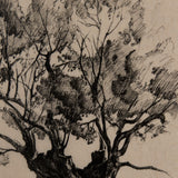 Tree Drawing I by Mercana Studio a Hand Embellished Textured Framed Art Print Matted under Glass from Mercana - Luna Furniture