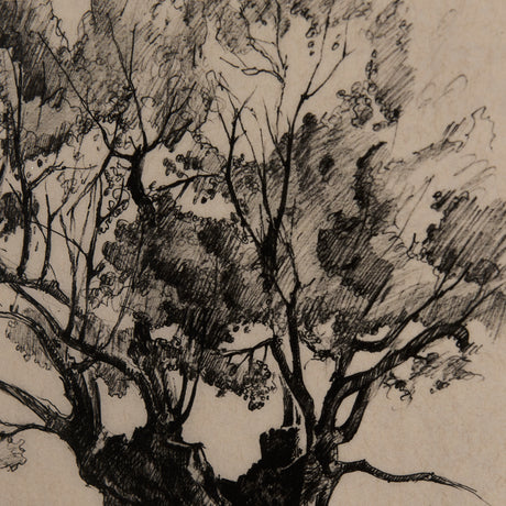 Tree Drawing I by Mercana Studio a Hand Embellished Textured Framed Art Print Matted under Glass from Mercana - Luna Furniture