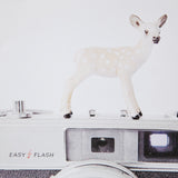 Deer & Vintage Camera by Susannah Tucker Photography a Framed Photo Art Print Matted under Glass from Mercana - Luna Furniture