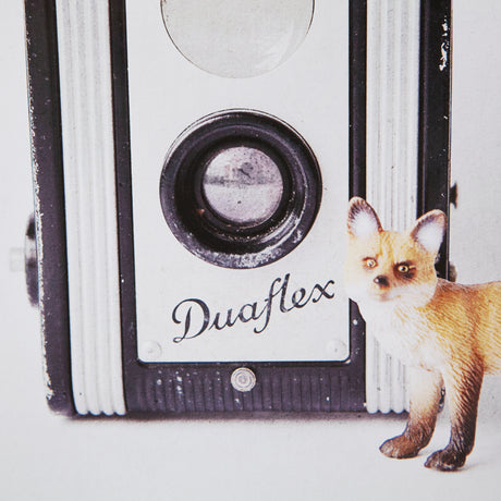 Fox & Vintage Camera by Susannah Tucker Photography a Framed Photo Art Print Matted under Glass from Mercana - Luna Furniture