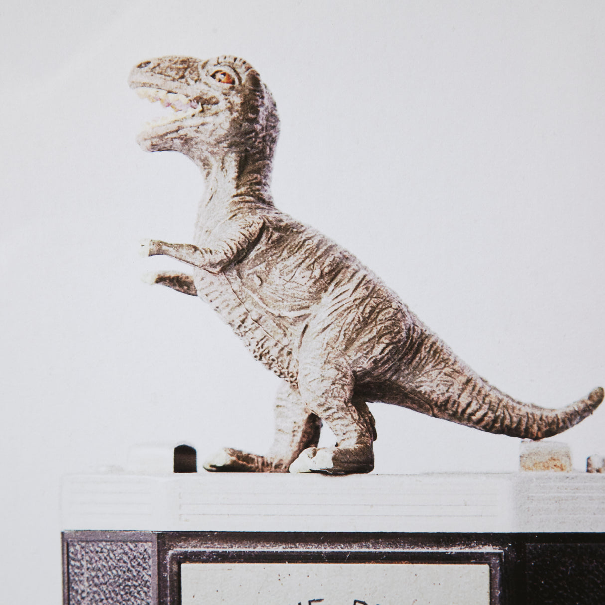 T-rex & Vintage Camera by Susannah Tucker Photography a Framed Photo Art Print Matted under Glass from Mercana - Luna Furniture
