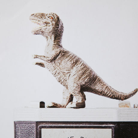T-rex & Vintage Camera by Susannah Tucker Photography a Framed Photo Art Print Matted under Glass from Mercana - Luna Furniture