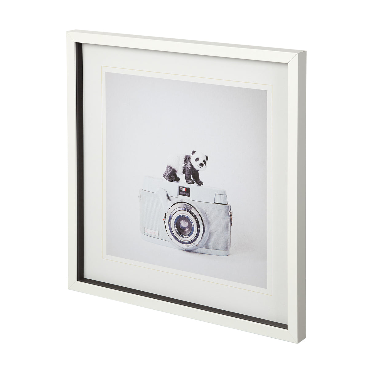 Panda & Vintage Camera by Susannah Tucker Photography a Framed Photo Art Print Matted under Glass from Mercana - Luna Furniture