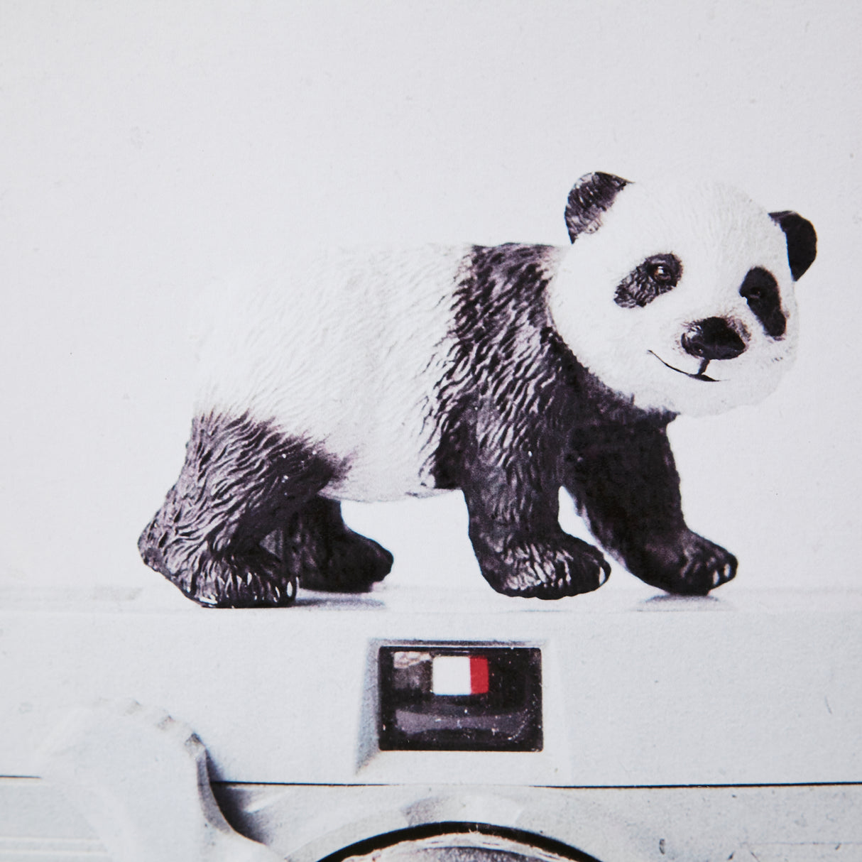 Panda & Vintage Camera by Susannah Tucker Photography a Framed Photo Art Print Matted under Glass from Mercana - Luna Furniture