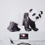 Panda & Vintage Camera by Susannah Tucker Photography a Framed Photo Art Print Matted under Glass from Mercana - Luna Furniture