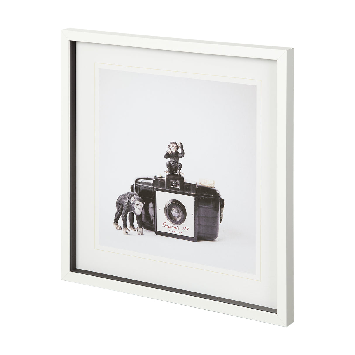 Monkeys & Vintage Camera by Susannah Tucker Photography a Framed Photo Art Print Matted under Glass from Mercana - Luna Furniture