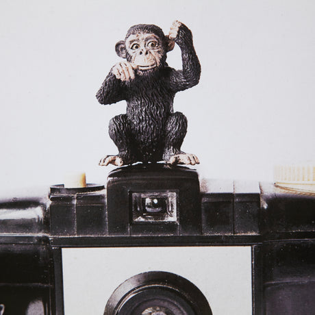 Monkeys & Vintage Camera by Susannah Tucker Photography a Framed Photo Art Print Matted under Glass from Mercana - Luna Furniture