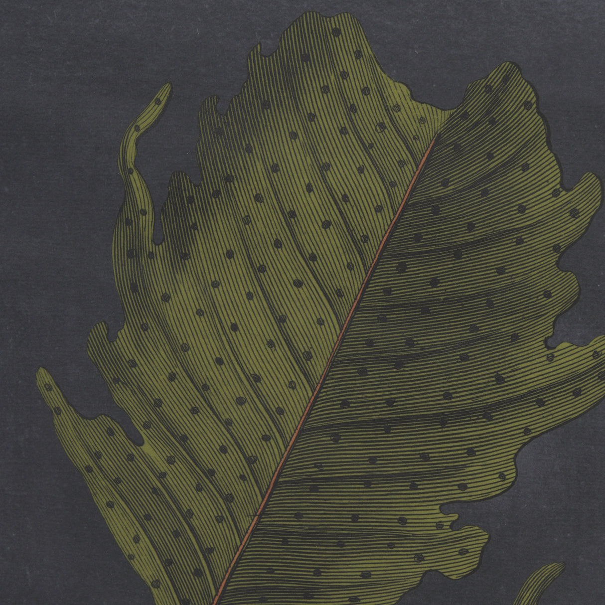 Foliage Dramatique I by Vision Studio Hand Embellished Textured Framed Art Print Matted under Glass from Mercana - Luna Furniture
