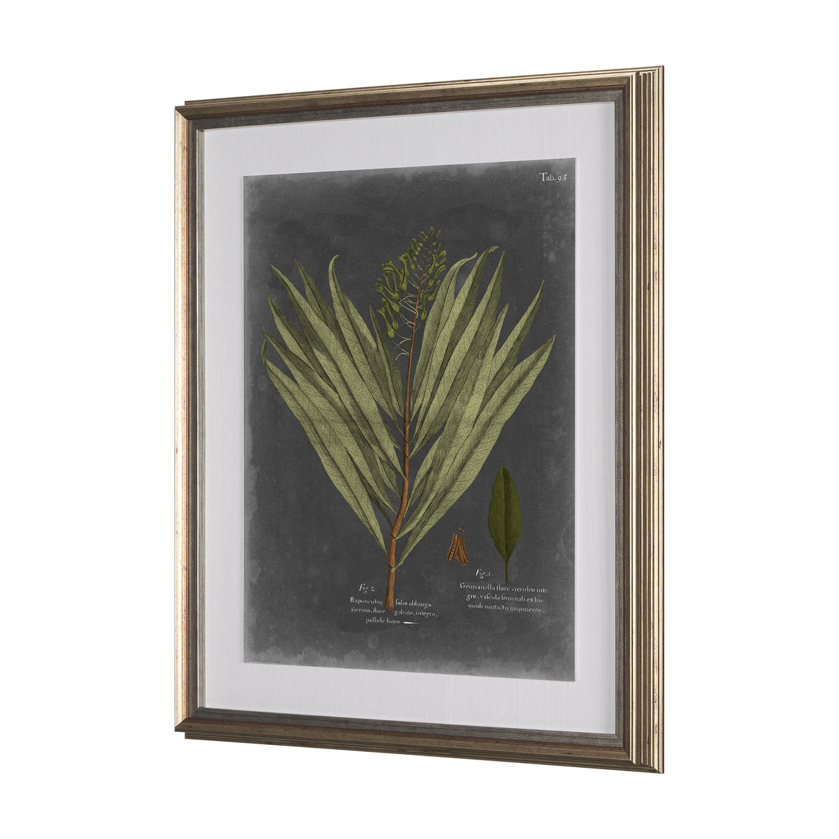 Foliage Dramatique II by Vision Studio Hand Embellished Textured Framed Art Print Matted under Glass from Mercana - Luna Furniture