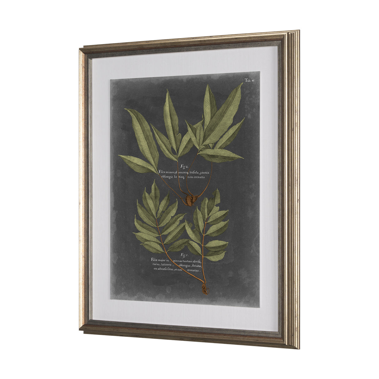 Foliage Dramatique IV by Vision Studio Hand Embellished Textured Framed Art Print Matted under Glass from Mercana - Luna Furniture