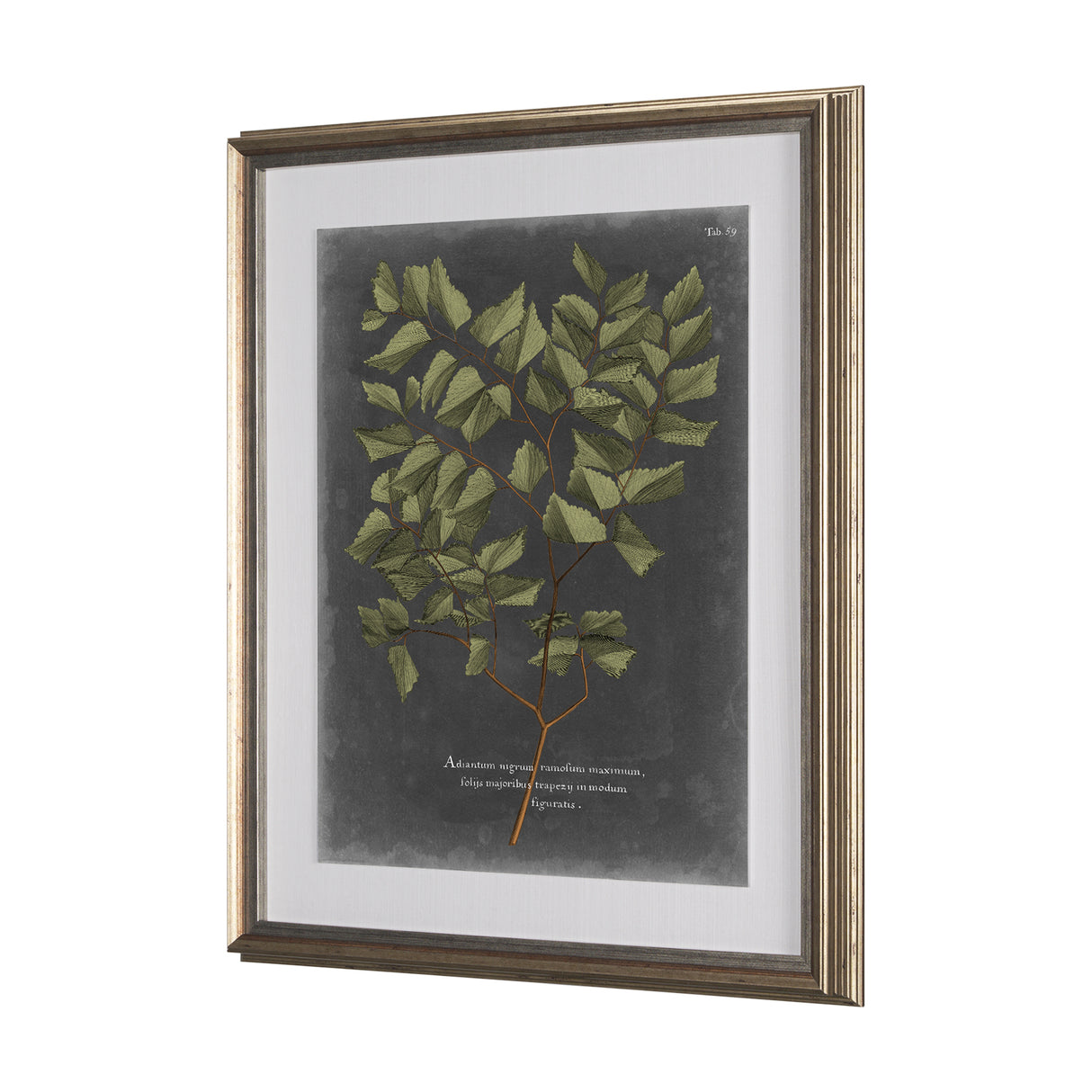 Foliage Dramatique V by Vision Studio Hand Embellished Textured Framed Art Print Matted under Glass from Mercana - Luna Furniture