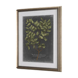 Foliage Dramatique V by Vision Studio Hand Embellished Textured Framed Art Print Matted under Glass from Mercana - Luna Furniture