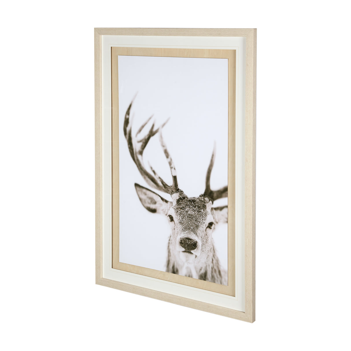 Ciervo 1 by THE Studio a Framed Photo Art Print Matted under Glass from Mercana - Luna Furniture