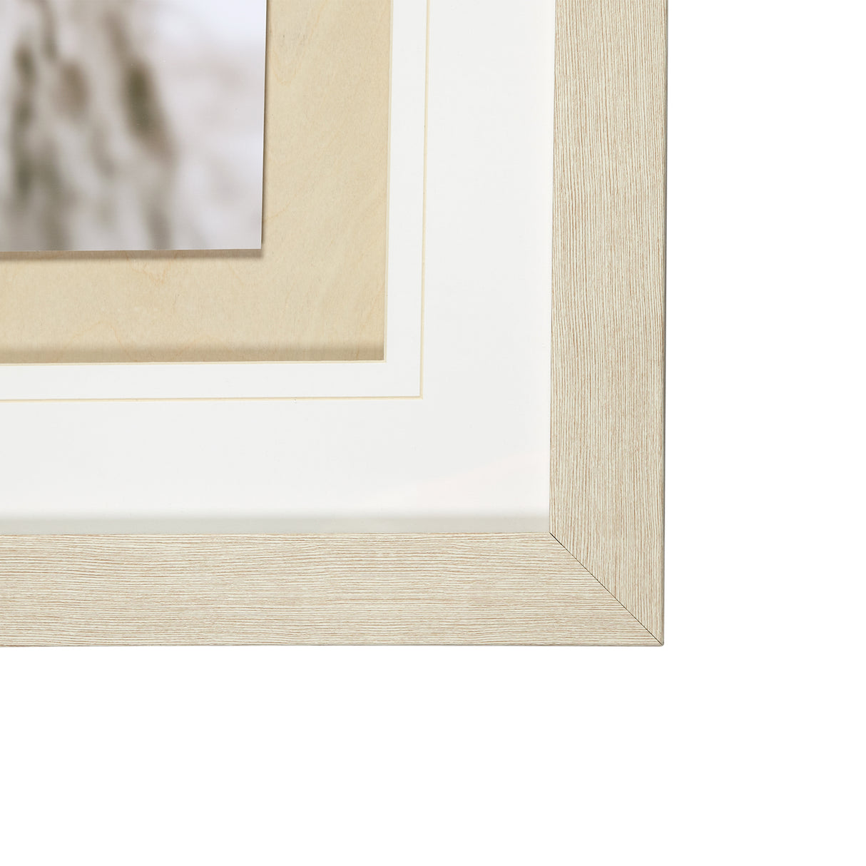 Ciervo 1 by THE Studio a Framed Photo Art Print Matted under Glass from Mercana - Luna Furniture