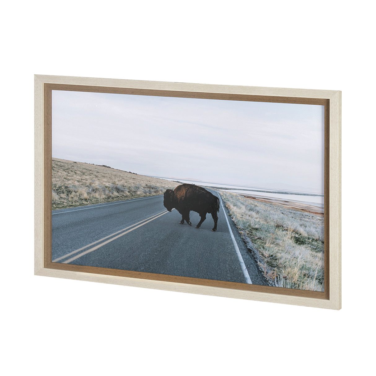 Bison Crossing by Chelsea Victoria a Hand Embelished Textured Framed Photo Art Print Matted under Gl from Mercana - Luna Furniture
