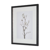 Magnolia II by Gabrielle C a Framed Art Print Matted under Glass from Mercana - Luna Furniture