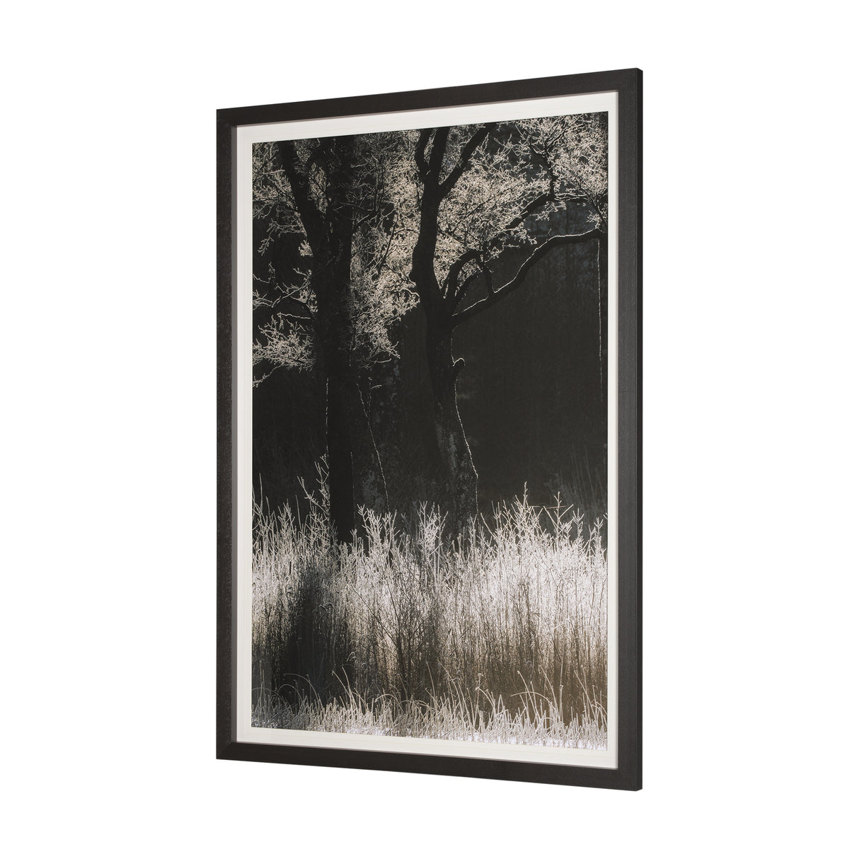 Tranquil Symmetry I by Mikael Svensson a Framed Photo Art Print Matted under Glass from Mercana - Luna Furniture