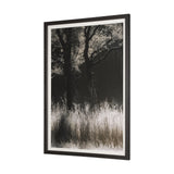 Tranquil Symmetry I by Mikael Svensson a Framed Photo Art Print Matted under Glass from Mercana - Luna Furniture