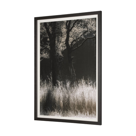 Tranquil Symmetry I by Mikael Svensson a Framed Photo Art Print Matted under Glass from Mercana - Luna Furniture