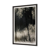 Tranquil Symmetry II by Mikael Svensson a Framed Photo Art Print Matted under Glass from Mercana - Luna Furniture