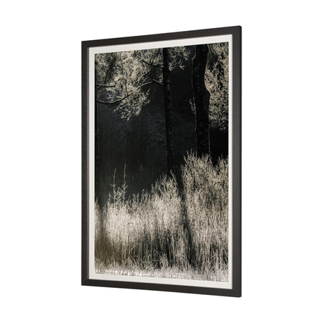 Tranquil Symmetry II by Mikael Svensson a Framed Photo Art Print Matted under Glass from Mercana - Luna Furniture
