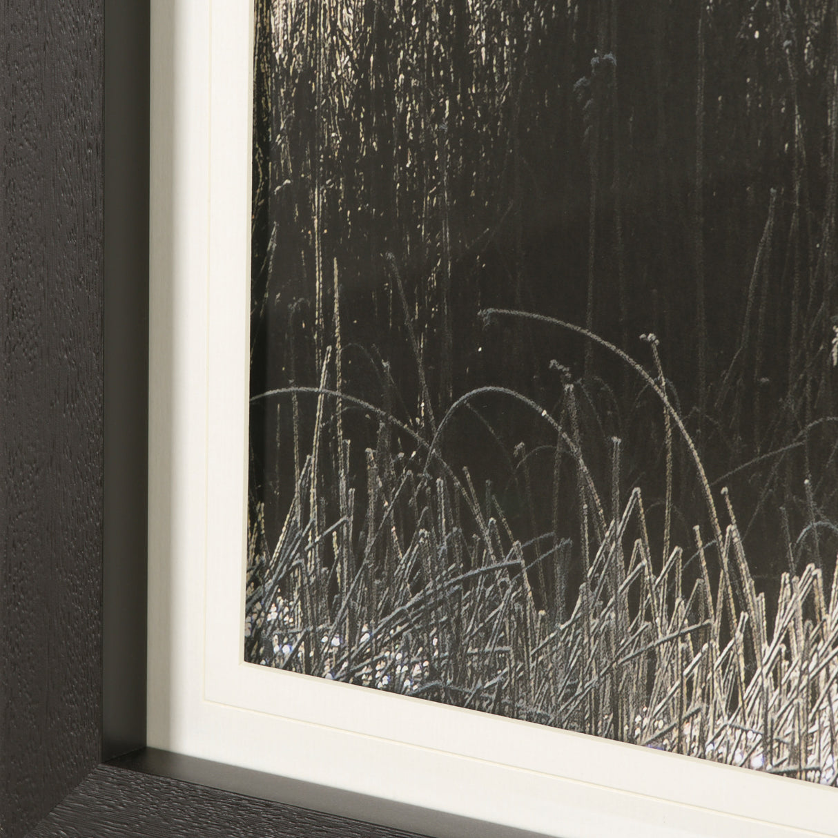 Tranquil Symmetry II by Mikael Svensson a Framed Photo Art Print Matted under Glass from Mercana - Luna Furniture