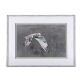 Owl in Flight by Chad Mackay a Framed Photo Art Print Matted under Glass from Mercana - Luna Furniture