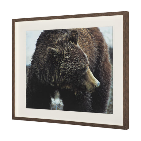 Grizzly Bear by Chad Mackay a Hand Embellished Textured Framed Photo Art Print Matted under Glass from Mercana - Luna Furniture