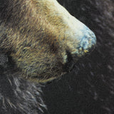 Grizzly Bear by Chad Mackay a Hand Embellished Textured Framed Photo Art Print Matted under Glass from Mercana - Luna Furniture