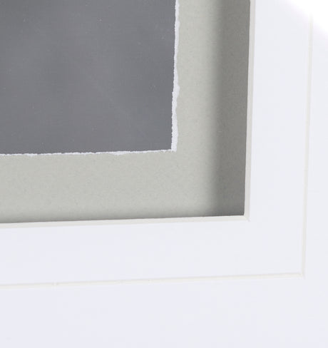 Owl in Flight by Chad Mackay a Framed Photo Art Print Matted under Glass from Mercana - Luna Furniture