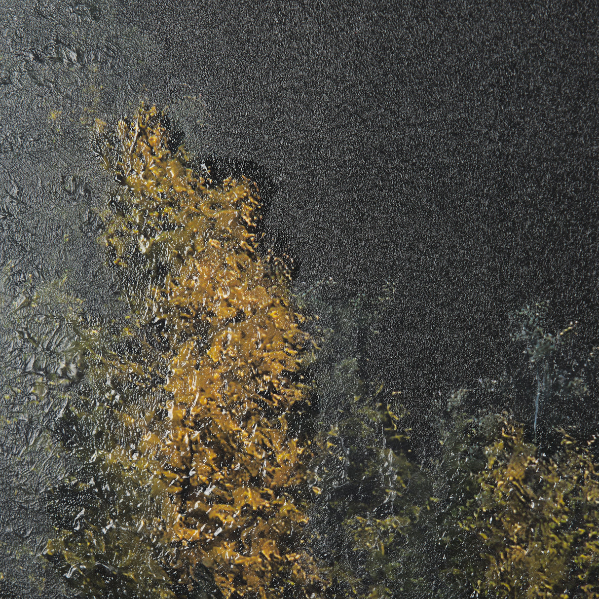 Water's Reflection-L by Chad Mackay a Hand Embellished Textured Framed Art Print Matted under Glass from Mercana - Luna Furniture
