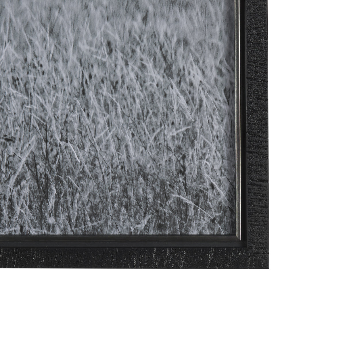 Montana Moves by Mercana Studio a Framed Photo Art Print Matted under Glass from Mercana - Luna Furniture