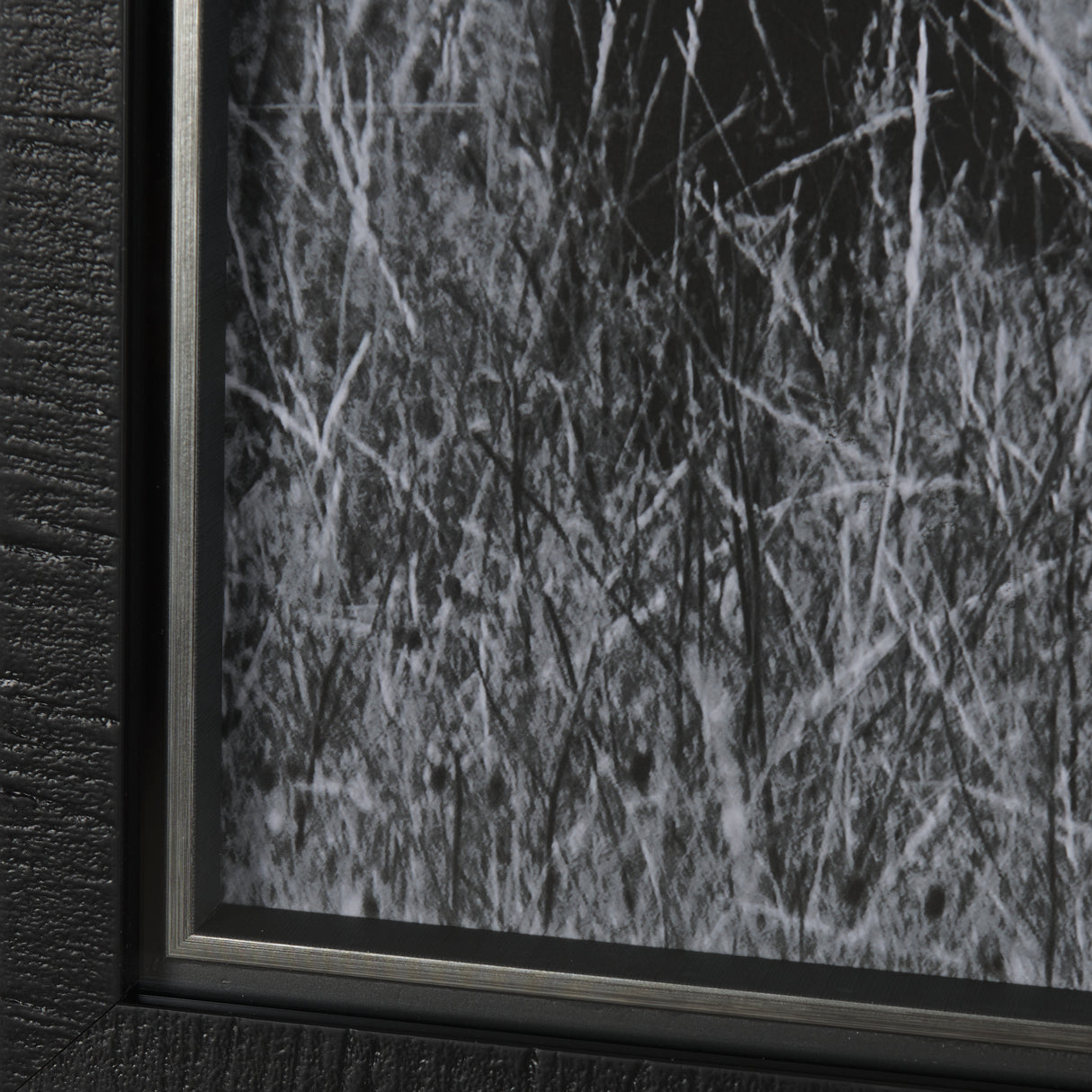 Montana Moves by Mercana Studio a Framed Photo Art Print Matted under Glass from Mercana - Luna Furniture